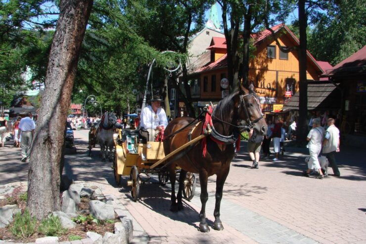 From Krakow: Slovakia Treetop Walk, Zakopane & Thermal Spa - Highlights
