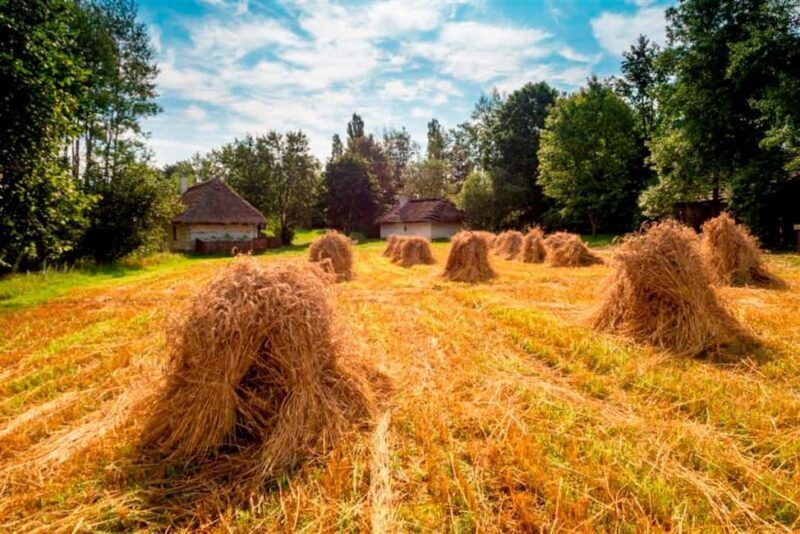 From Krakow: Tokarnia Ethnographic Park  Private Day Trip - The Value of This Tour