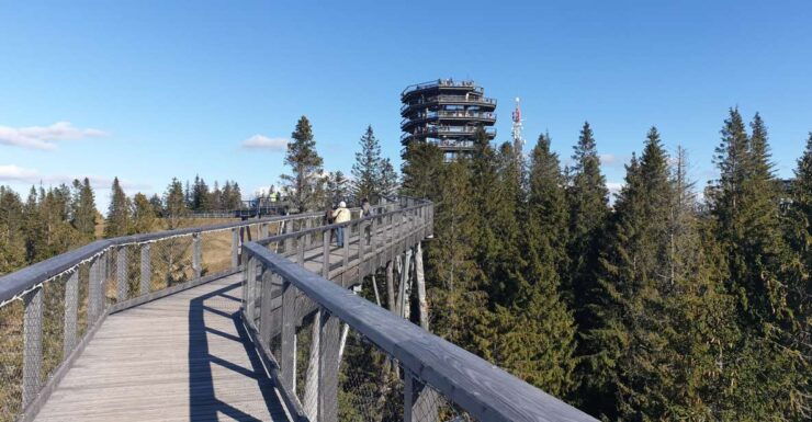 From Krakow: Tour to Slovakia Treetop Walk and Thermal Baths - Highlights of the Experience