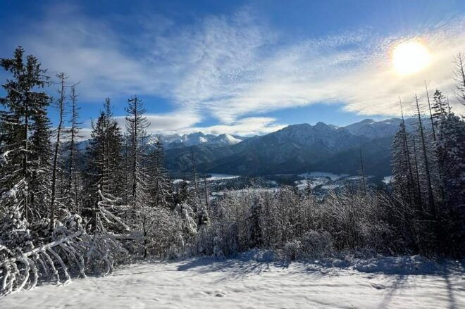 From Krakow: Tour to Zakopane With Tasting & Hotel Pickup - Customer Reviews and Feedback