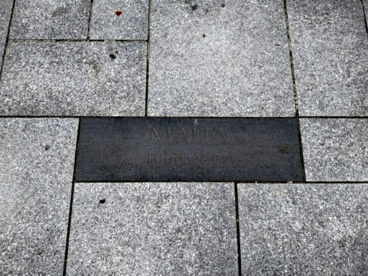 From Krakow: Wadowice and Kalwaria Pope John Paul II Tour - Experience Highlights