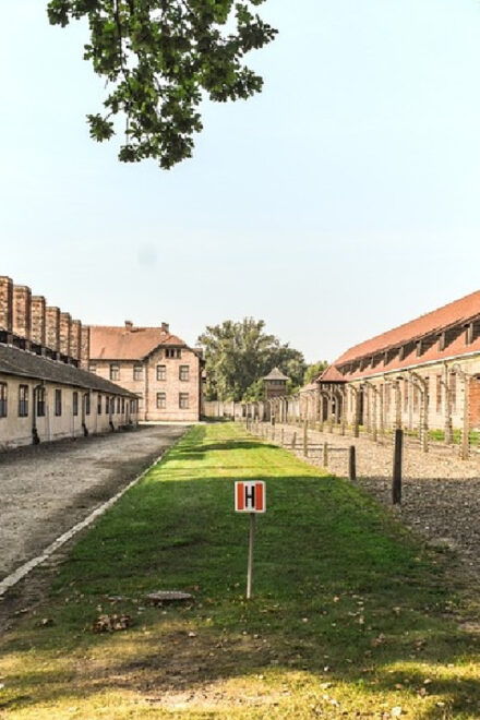 From Krakow: Wieliczka Salt Mine & Auschwitz Guided Trip - Booking and Date Changes