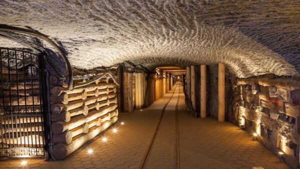 From Krakow: Wieliczka Salt Mine & Auschwitz Guided Trip - Additional Considerations