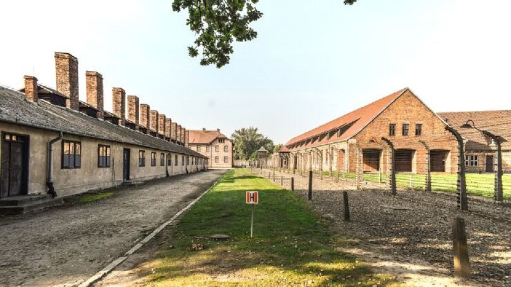 From Krakow: Wieliczka Salt Mine & Auschwitz Guided Trip - Experience Details