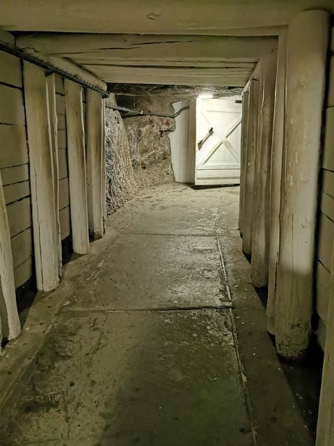 From Krakow: Wieliczka Salt Mine Guided Tour & Hotel pick-up - Who Should Consider This Tour?