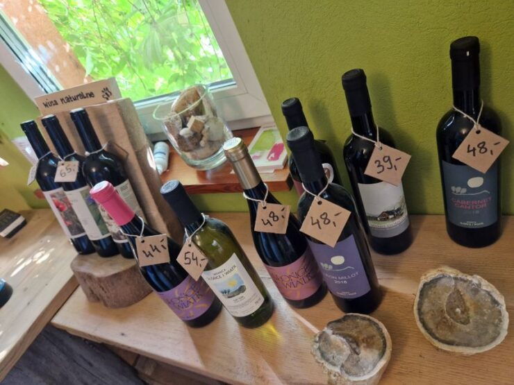 From Krakow: Wine Tasting at Vineyard - Experience Highlights