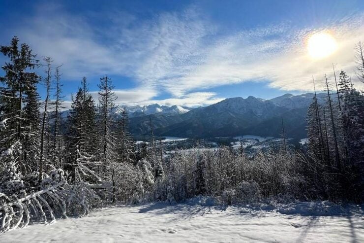 From Krakow: Zakopane Day Trip With Funicular & Food Tasting - Key Points
