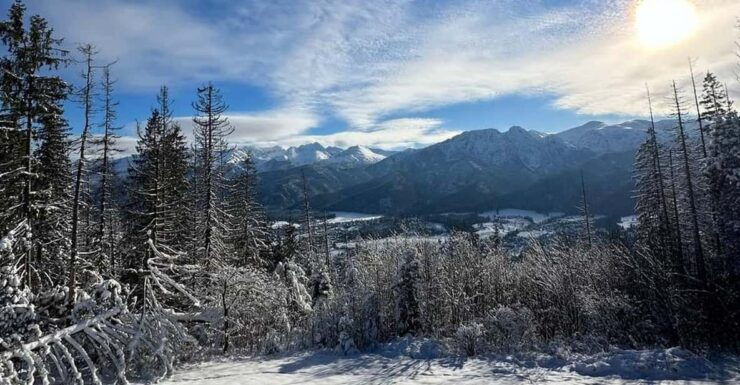 From Krakow: Zakopane Day Trip With Funicular & Food Tasting - Itinerary Highlights
