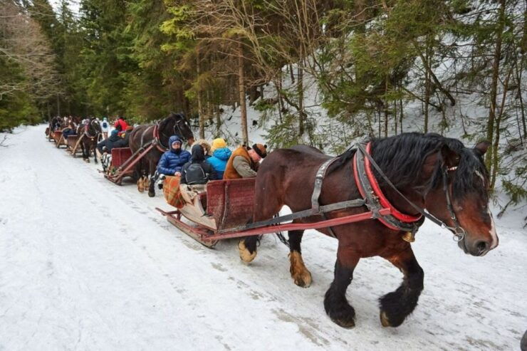 From Krakow: Zakopane, Sleigh Ride & Thermal Baths Tour - Booking Details