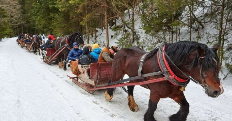 From Krakow: Zakopane, Sleigh Ride & Thermal Baths Tour - Tour Experience