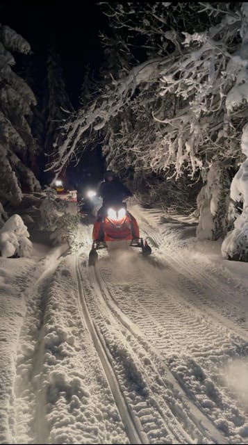 From Krakow: Zakopane Snowmobile NIGHT Ride, Bonfire, - Good To Know