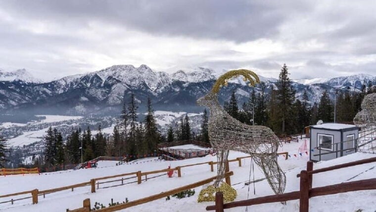 From Krakow: Zakopane + Thermal Baths - Practical Tips for Your Trip