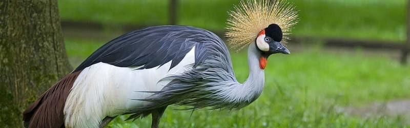 From Krakow: Zoo Trip with Private Luxury Transfer - Final Thoughts