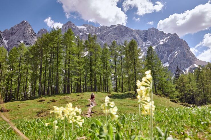 From Kranjska Gora: Julian Alps Guided Full-Day Tour - Experience Highlights of the Tour