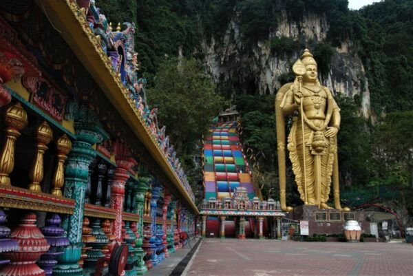 From Kuala Lumpur: Batu Caves and Firefly Watching Tour - Silver Leaf Monkeys of Melawati
