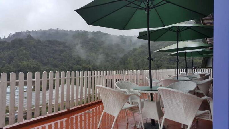 From Kuala Lumpur: Cameron Highlands Full-Day Tour - The Scenic Journey: How It All Begins