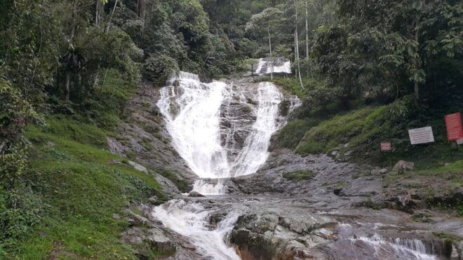 From Kuala Lumpur: Cameron Highlands Full-Day Tour - Pickup and Drop-Off Information