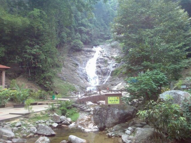 From Kuala Lumpur: Cameron Highlands Full-Day Tour - Customer Reviews and Ratings