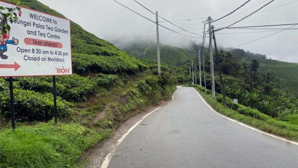 From Kuala Lumpur: Cameron Highlands Private Day Tour - Common Questions