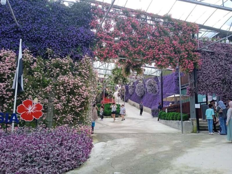 From Kuala Lumpur: Cameron Highlands Private or Join In Tour - Final Thoughts: Is It Worth It?