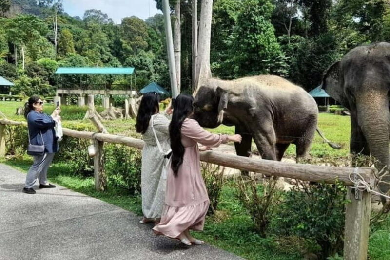 From Kuala Lumpur: Kuala Gandah & Batu Caves Day Trip - Introducing the Kuala Lumpur to Kuala Gandah & Batu Caves Day Trip