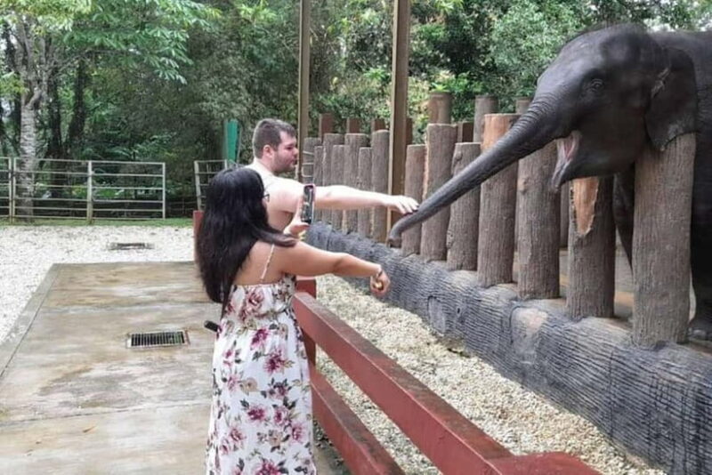 From Kuala Lumpur: Kuala Gandah & Batu Caves Day Trip - Good To Know