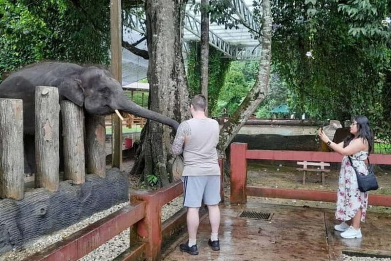 From Kuala Lumpur: Kuala Gandah & Batu Caves Day Trip - Exploring the Itinerary in Detail