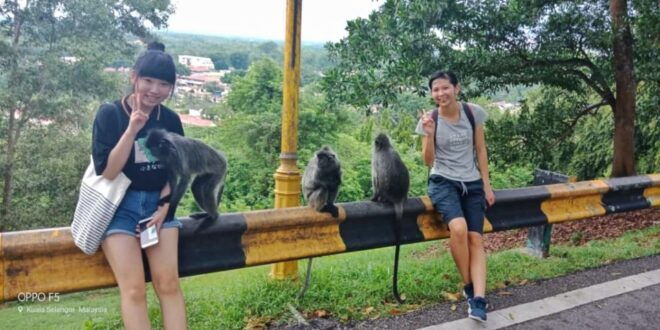 From Kuala Lumpur: Kuala Selangor Fireflies Tour With Dinner - Tour Duration