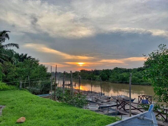 From Kuala Lumpur: Kuala Selangor Fireflies Tour With Dinner - Pickup Service