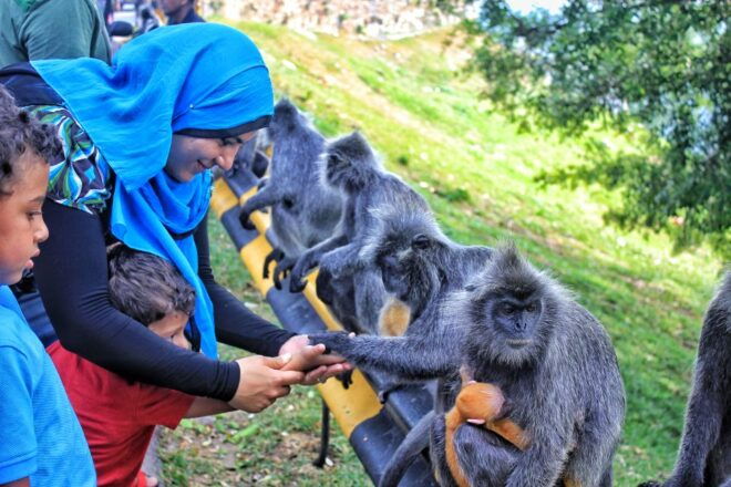 From Kuala Lumpur: Kuala Selangor Fireflies Tour With Dinner - Tour Experience