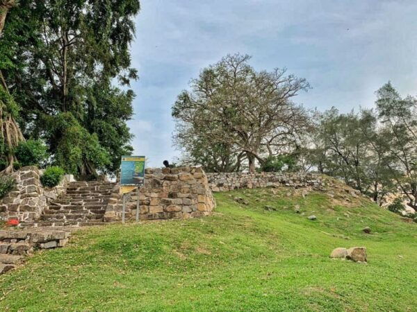 From Kuala Lumpur: Kuala Selangor Fireflies Tour With Dinner - Additional Information