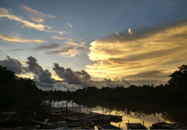 From Kuala Lumpur: Kuala Selangor Fireflies Tour With Dinner - Common Questions