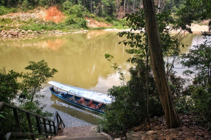 From Kuala Lumpur: Taman Negara National Park Day Tour - Tour Highlights