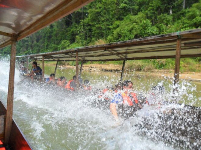 From Kuala Lumpur: Taman Negara National Park Day Tour - Thrilling River Adventure