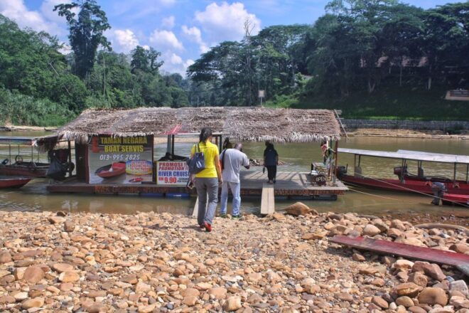 From Kuala Lumpur: Taman Negara National Park Day Tour - Wildlife Exploration