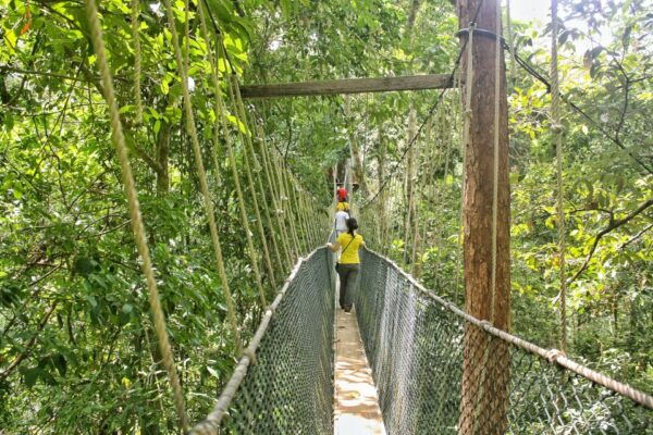 From Kuala Lumpur: Taman Negara National Park Day Tour - Common Questions