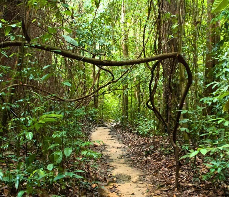 From Kuala Lumpur: Taman Negara National Park Private Tour - Exploring Taman Negara: A Deep Dive