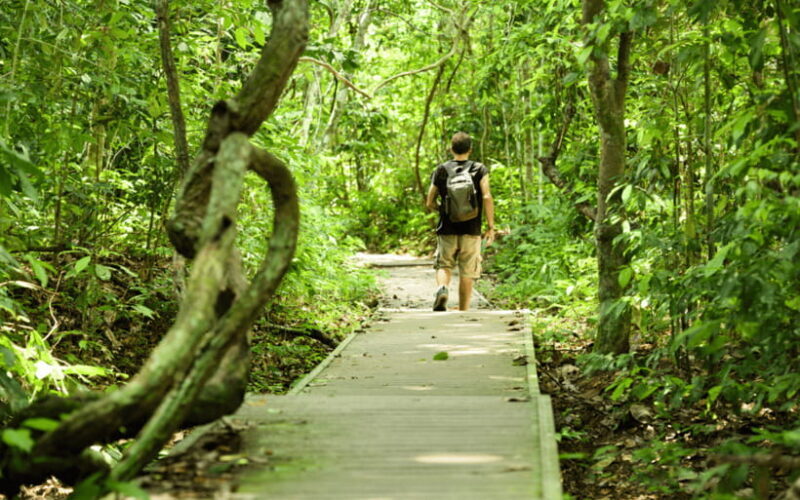 From Kuala Lumpur: White Water Rafting Adventure (Grade 4) - The Authenticity and Value