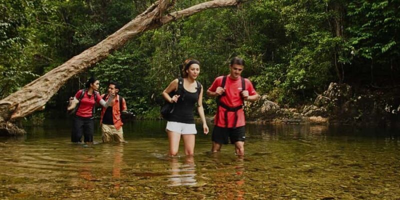 From Kuala Tahan : 4-Day Taman Negara Rainforest Tour - Good To Know