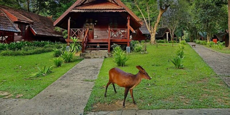 From Kuala Tahan : 4-Day Taman Negara Rainforest Tour - A Close Look at the Itinerary