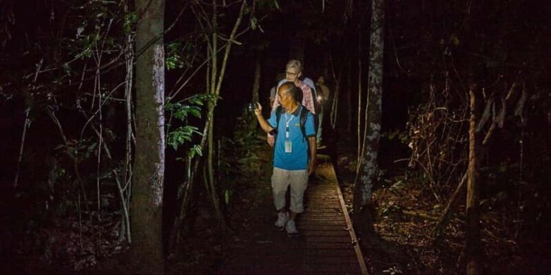 From Kuala Tahan : 4-Day Taman Negara Rainforest Tour - The Highlights: Why It’s Worth It