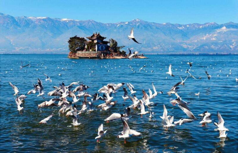 From Kunming: 9-Day Yunnan Highlights Tour with Bullet Train - Good To Know