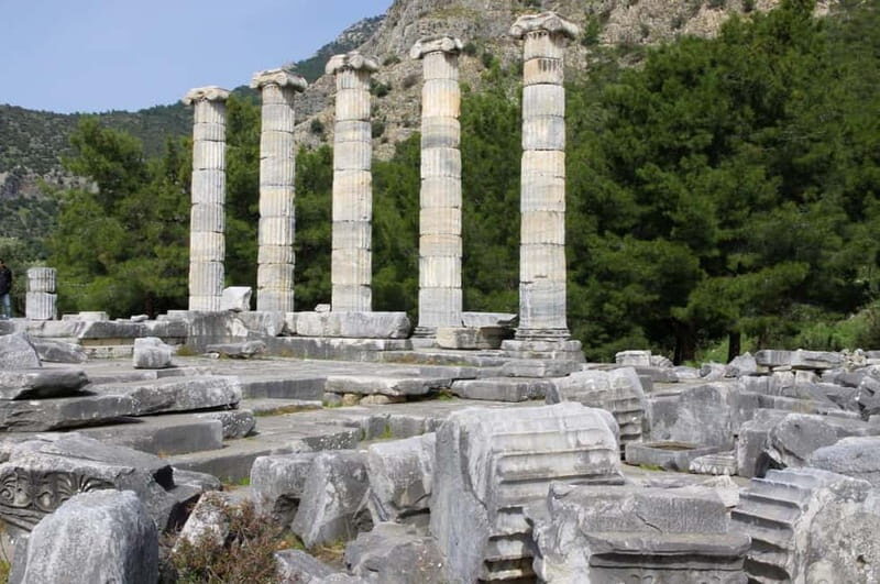 From Kusadasi Port: Priene, Miletus, and Didyma Daily Tour - Final Thoughts