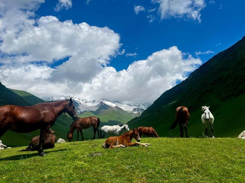 From Kutaisi: Svaneti Mountain Villages 2-Day 4x4 Safari - Who Should Consider This Tour?