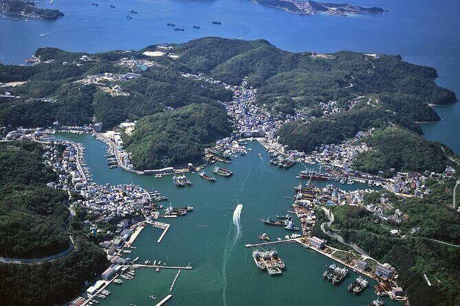 From Kyoto Island Exploration with Local Seafood Lunch - A Detailed Look at the Ieshima Island Experience