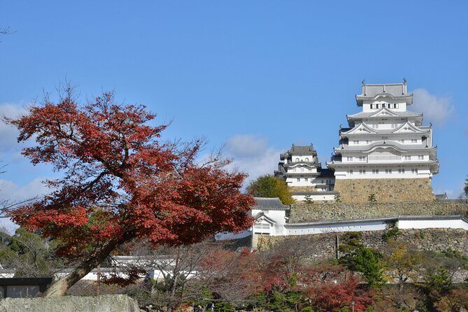From Kyoto Japanese Sword and Himeji Castle Bus Tour - Who Will Love This Tour?
