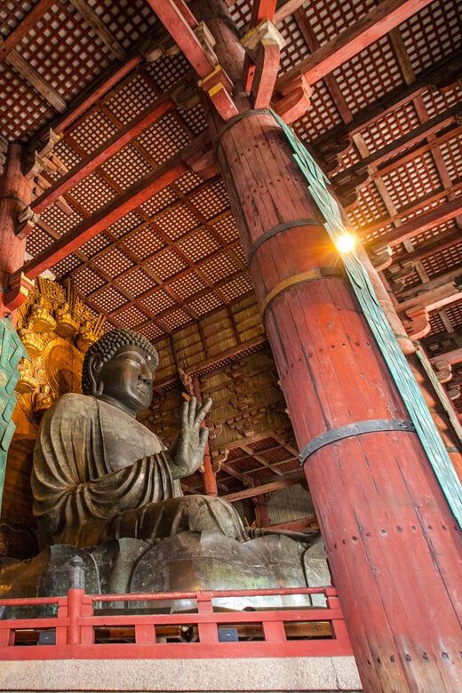 From Kyoto: Nara Guided Half Day Bus Tour - How the Tour Is Structured