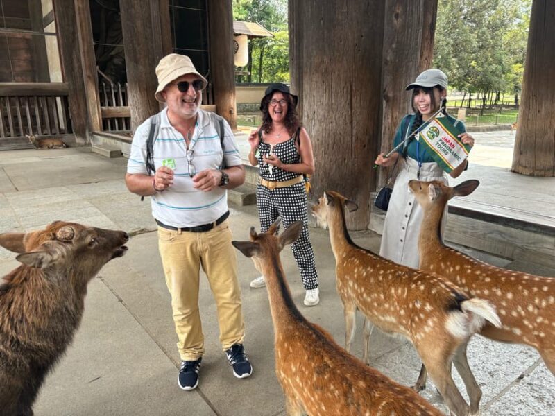 From Kyoto: Nara Guided Morning Tour - Good To Know
