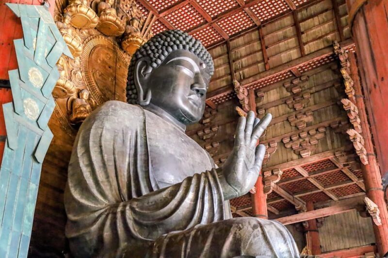 From Kyoto: Nara Guided Morning Tour - Authentic Experiences and Traveler Feedback