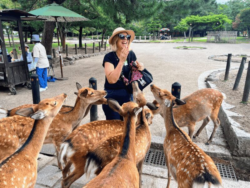From Kyoto: Nara Guided Morning Tour - Good To Know